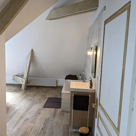 Domaine Noetinger Holiday home *